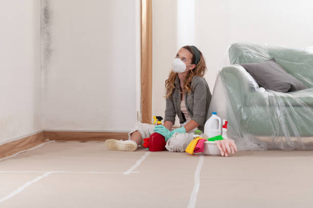 Reliable Commercial Mold Remediation contractor in Quincy, WA by WQB Mold Removal